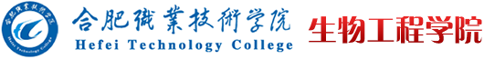 Beat365中文官方网站 Beat365中文官方网站